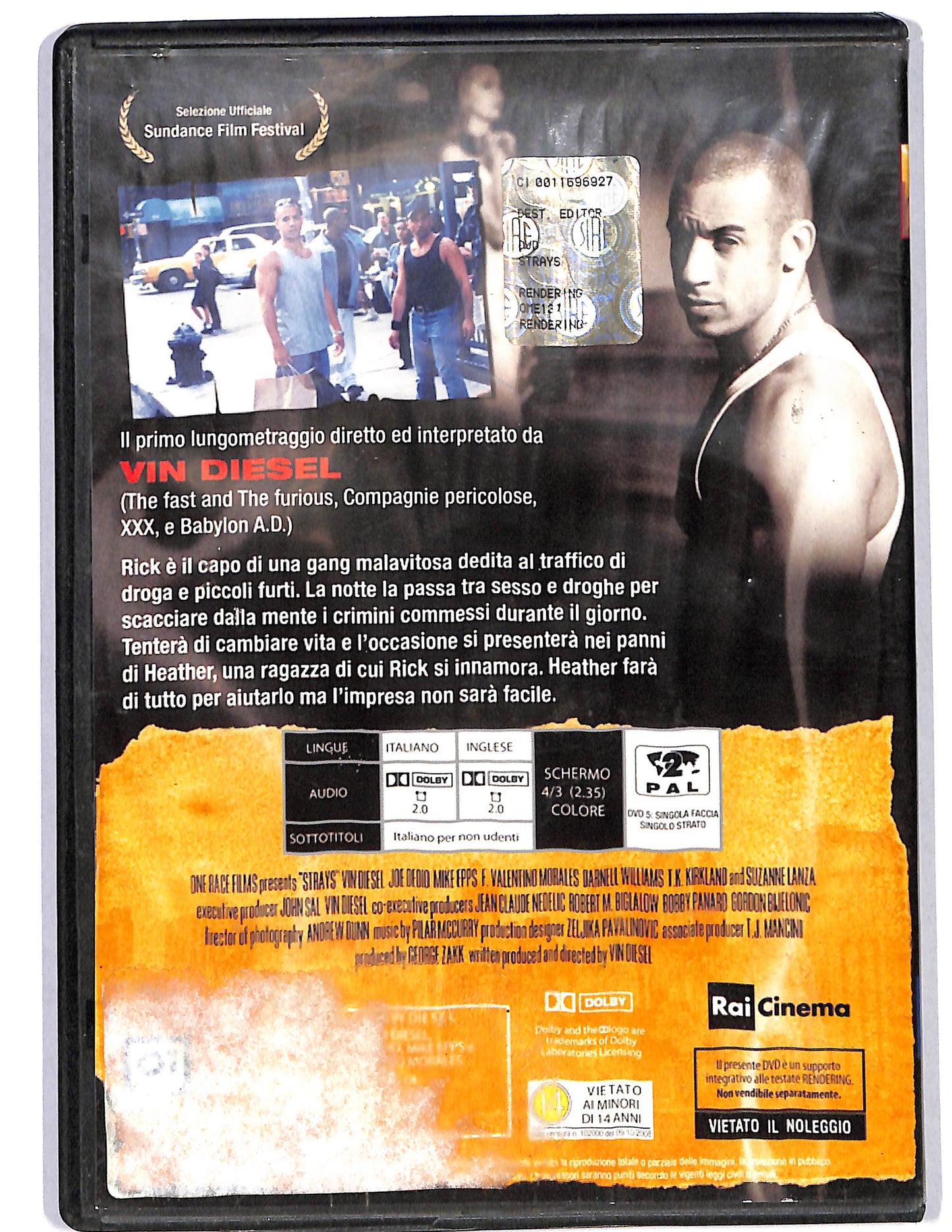 EBOND Strays EDITORIALE DVD D626020