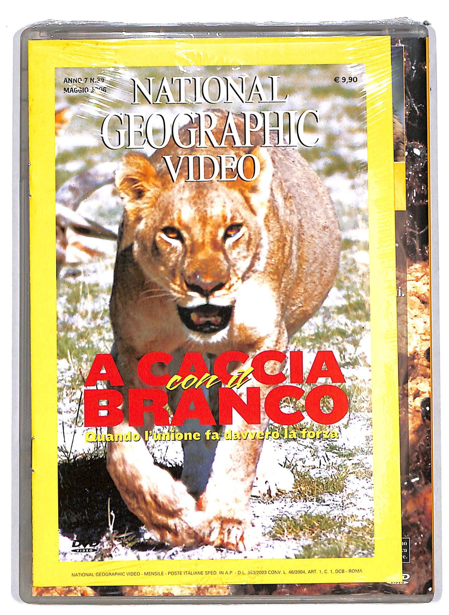 EBOND National Geographic - Branchi Selvaggi vol.39 EDITORIALE DVD D630539
