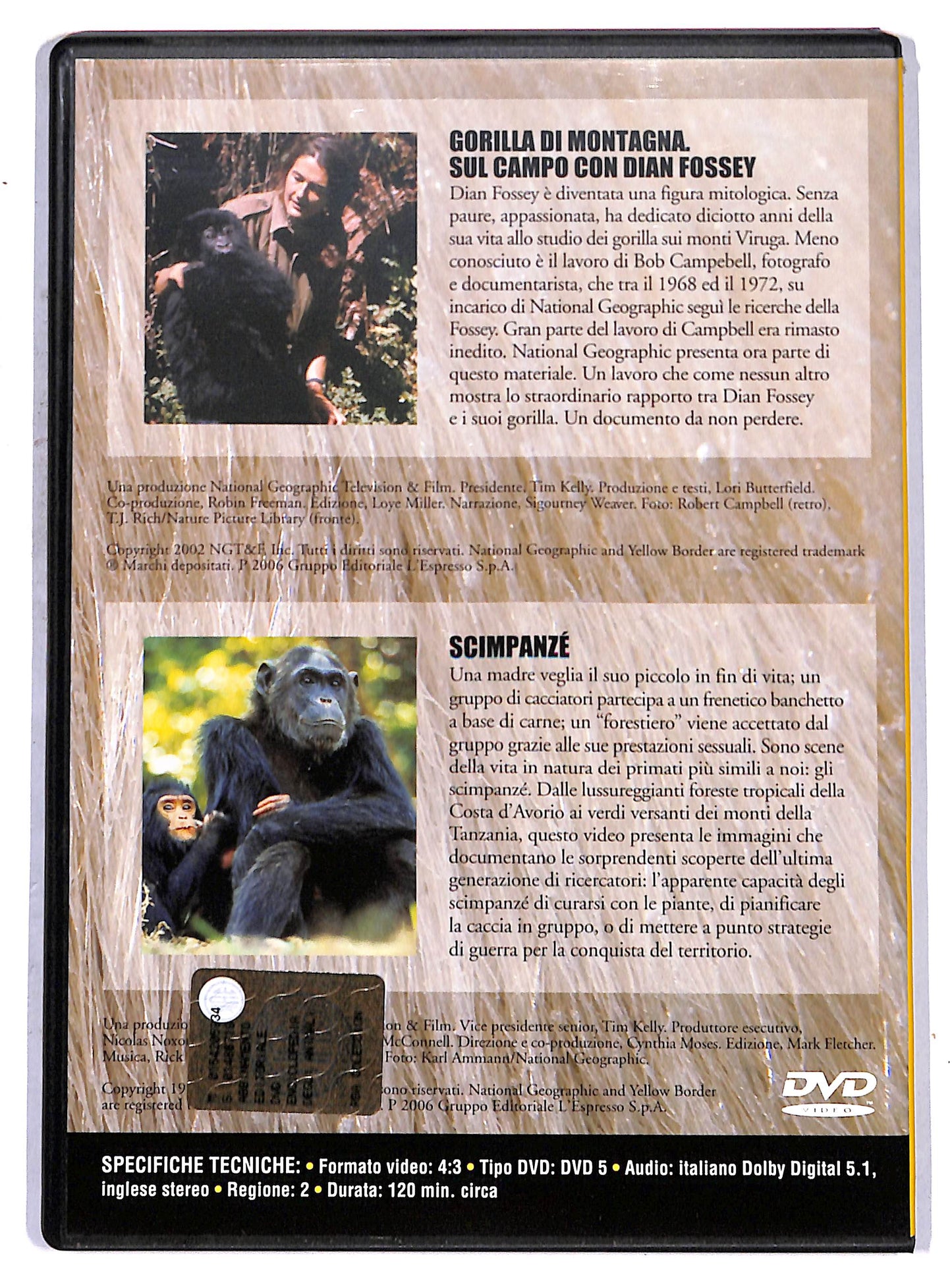 EBOND national geographic, gorilla di montagna - scimp EDITORIALE DVD D658549