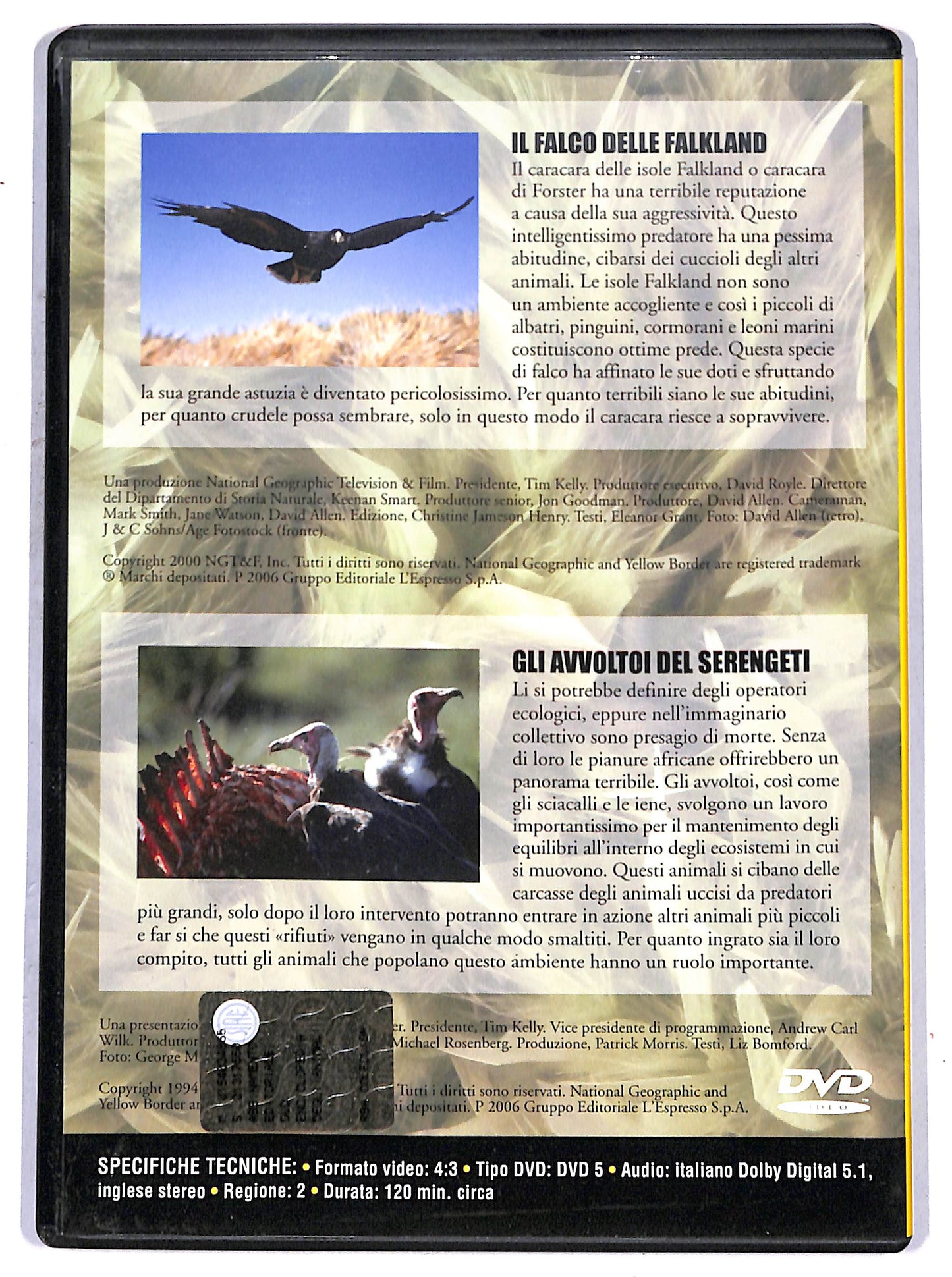 EBOND National Geographic - il falco delle falkland EDITORIALE DVD D658551