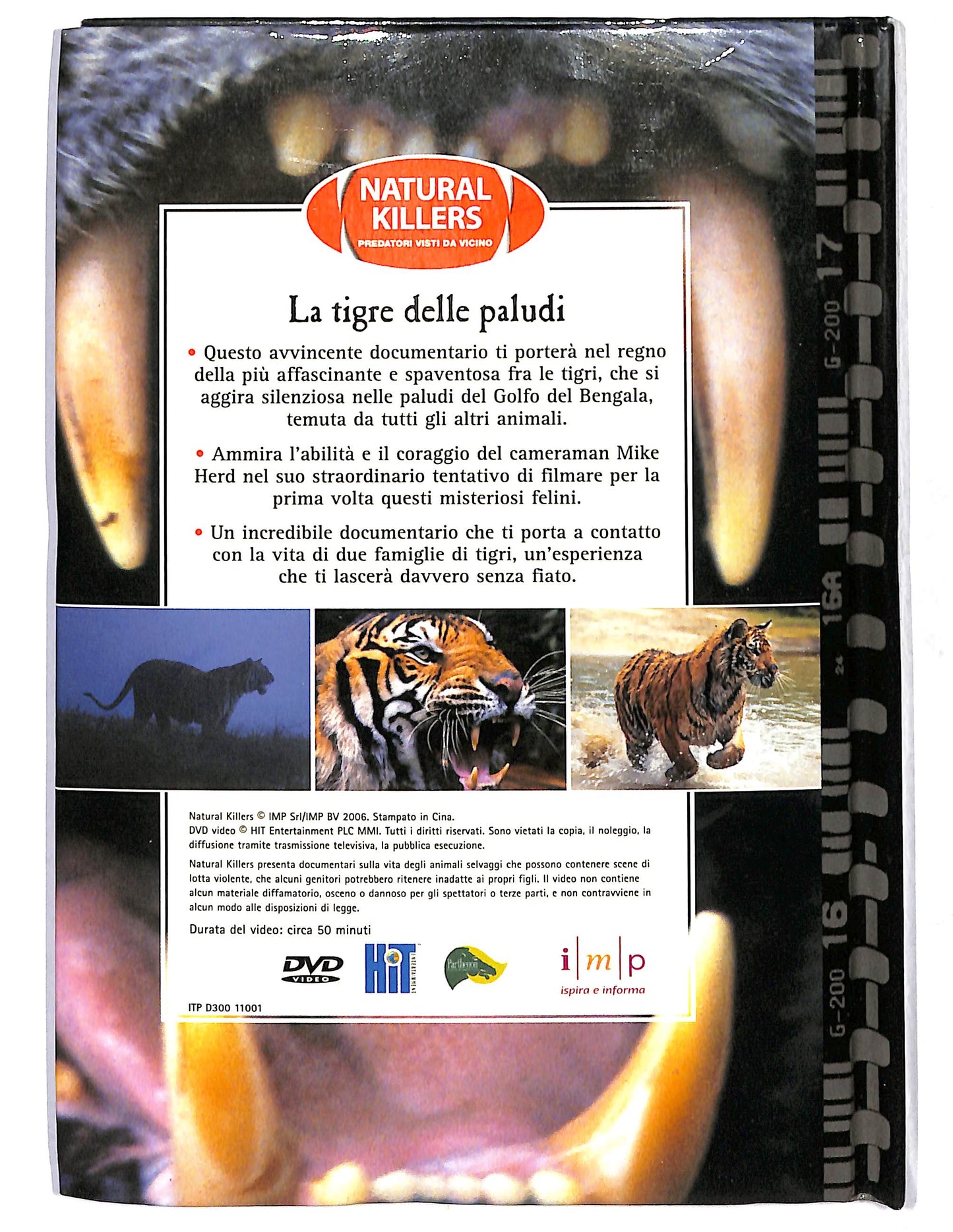EBOND Tigre delle paludi DVD D659127