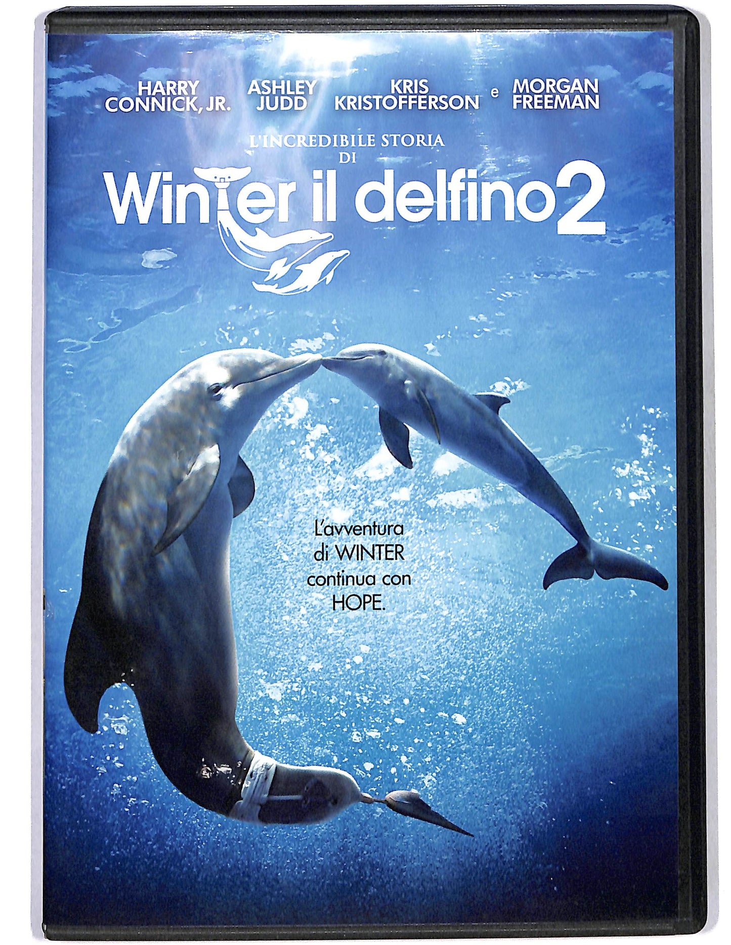 EBOND Winter il delfino 2 DVD D660106