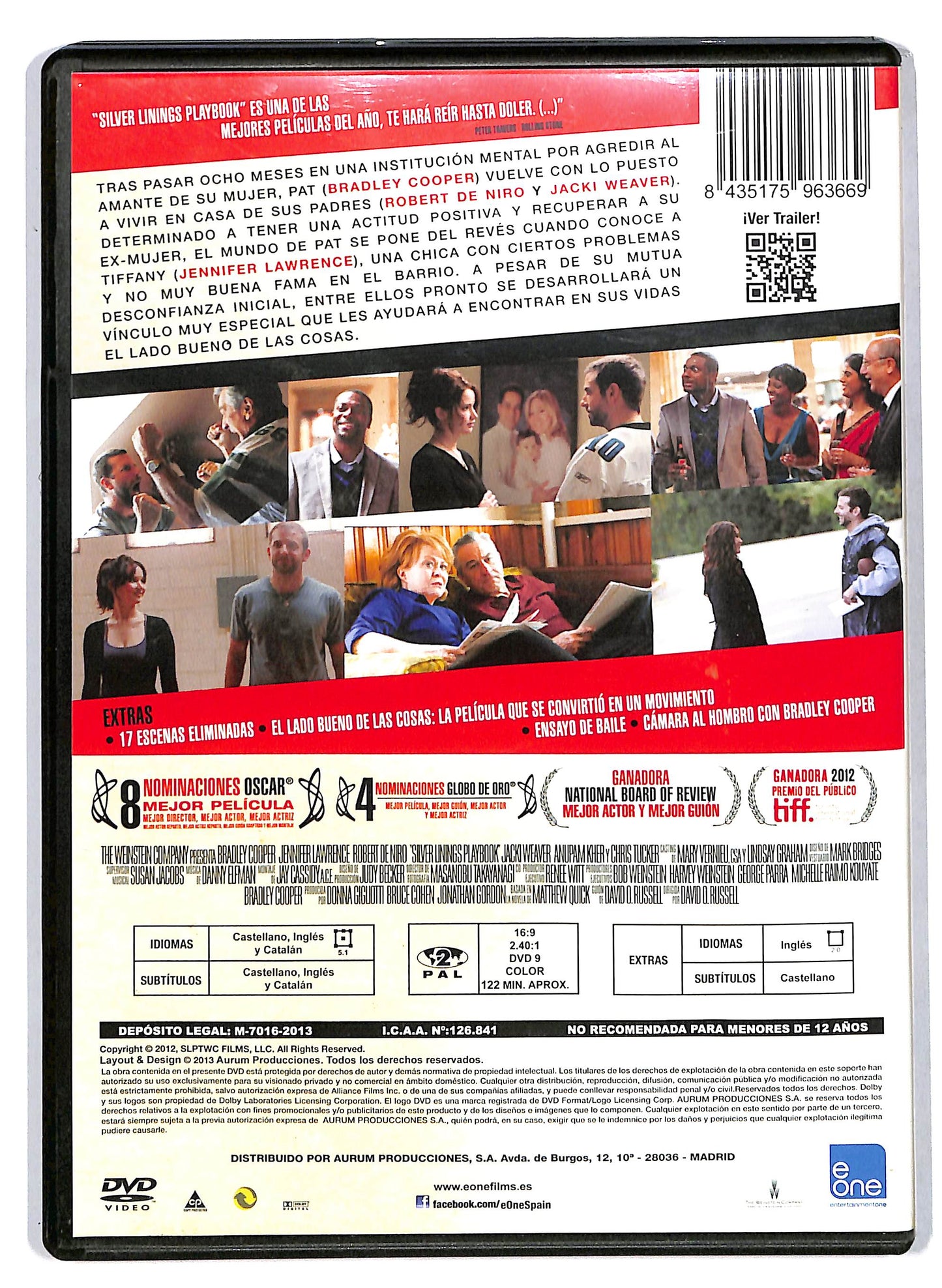 EBOND El lado bueno de las cosas DVD D706108