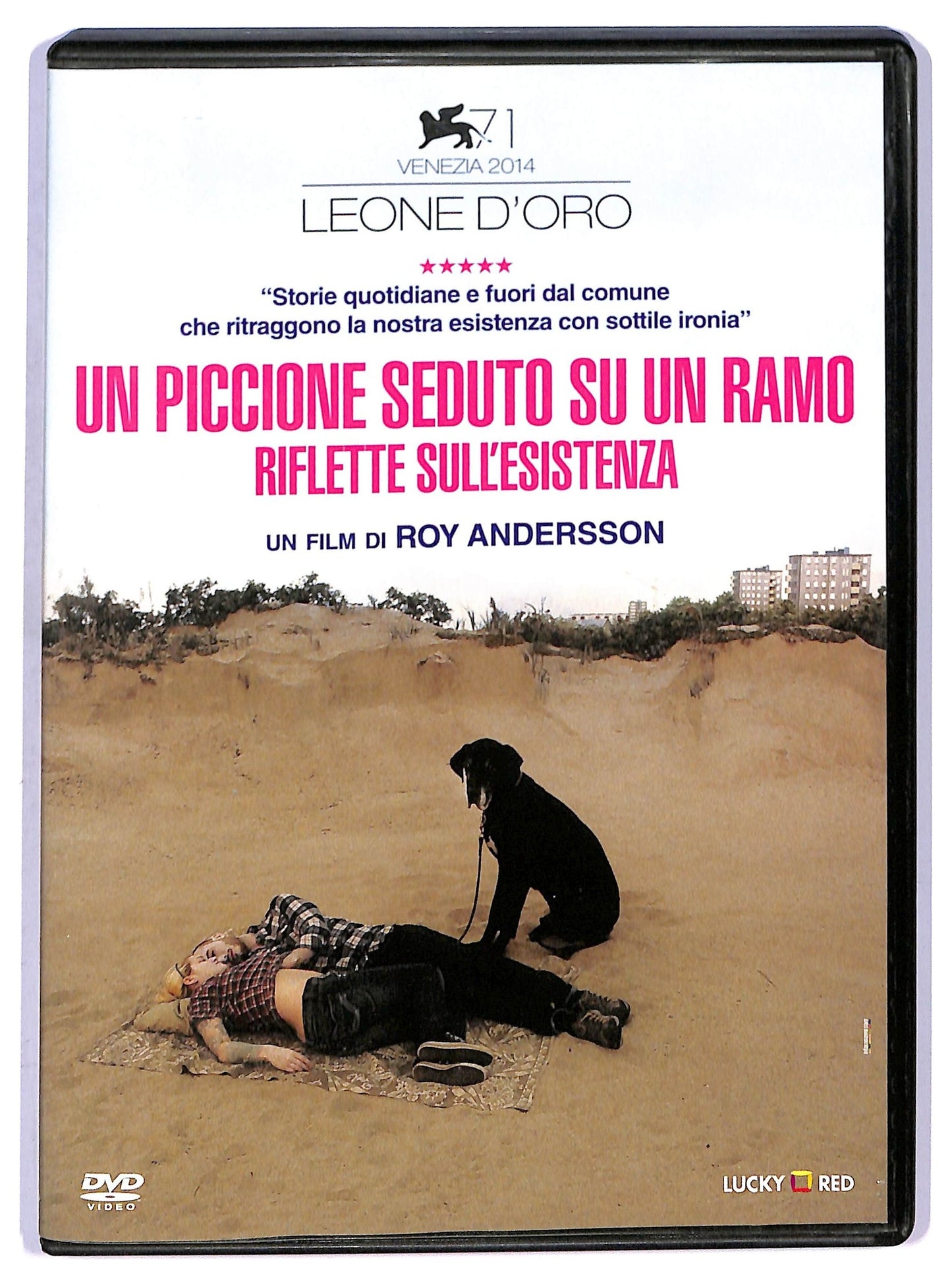 EBOND Un Piccione Seduto Su Un Ramo Riflette Sull'esistenza DVD D750629