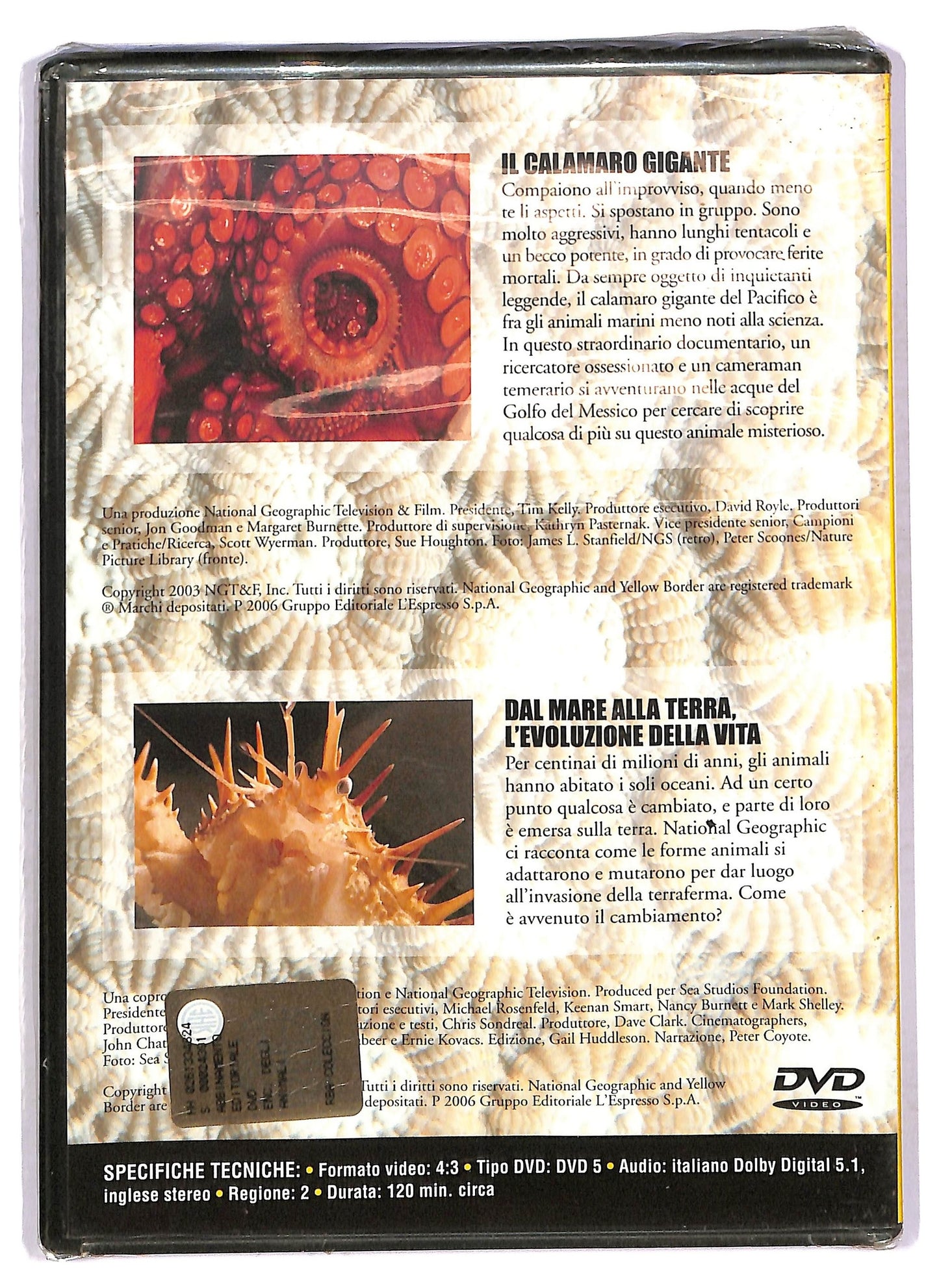 EBOND National Geographic - il calamaro gigante vol 19 EDITORIALE DVD D759010