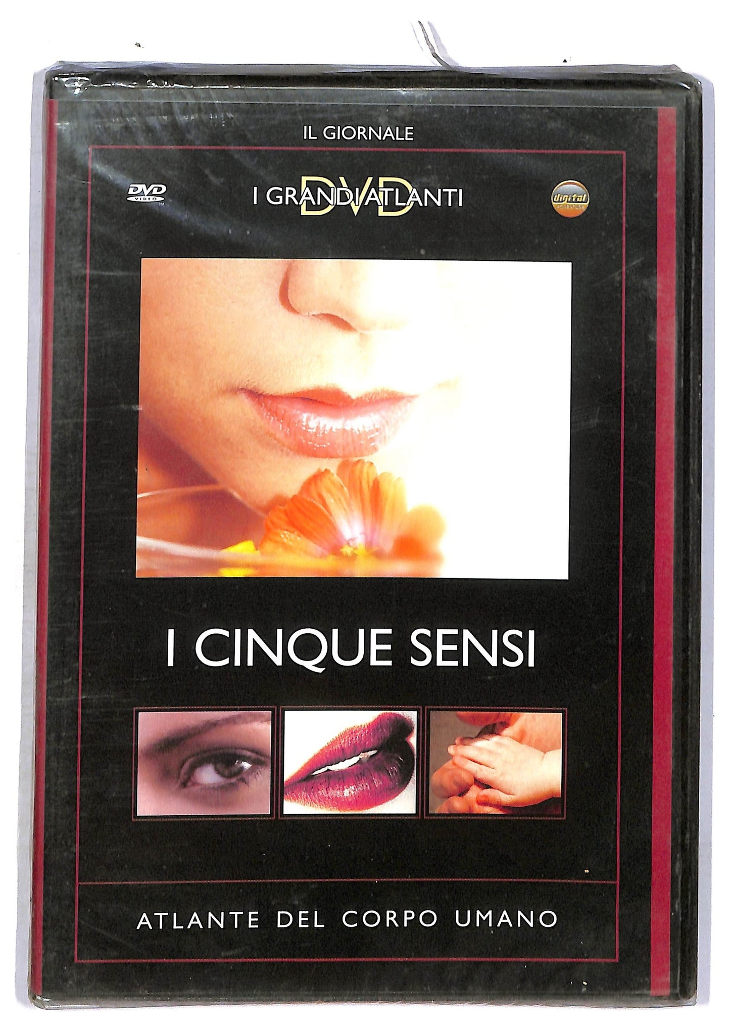 EBOND I Cinque Sensi. Atlante Del Corpo Umano DVD Editoriale D762722