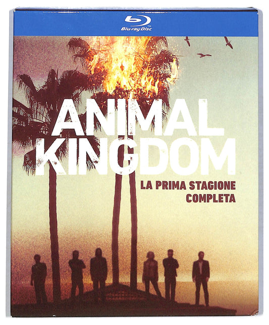 EBOND Animal Kingdom La Prima Stagione Completa Cofanetto BLURAY  BLURAY BLURAY D773534