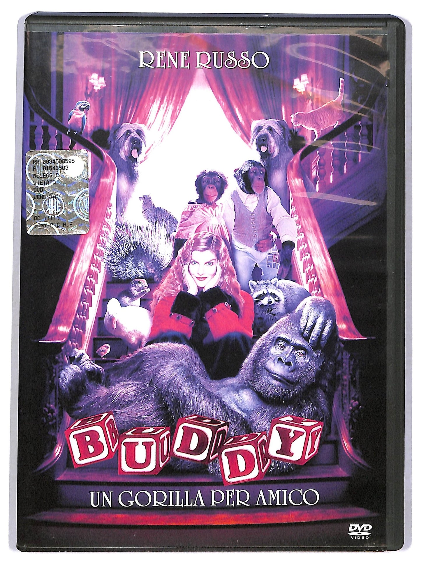 EBOND Buddy - Un Gorilla Per Amico DVD D780405