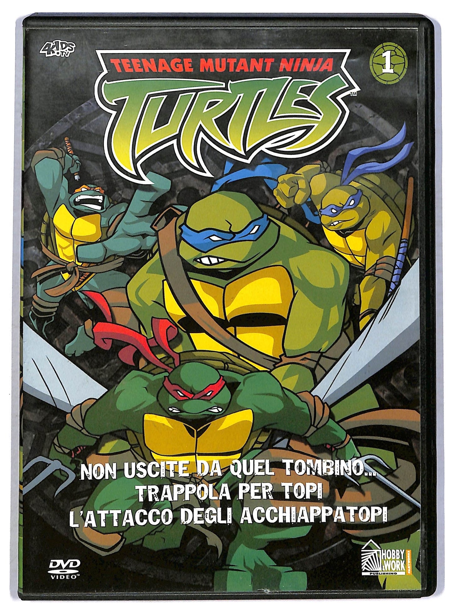 EBOND Teenage mutant ninja Turtles vol 1 DVD D794024