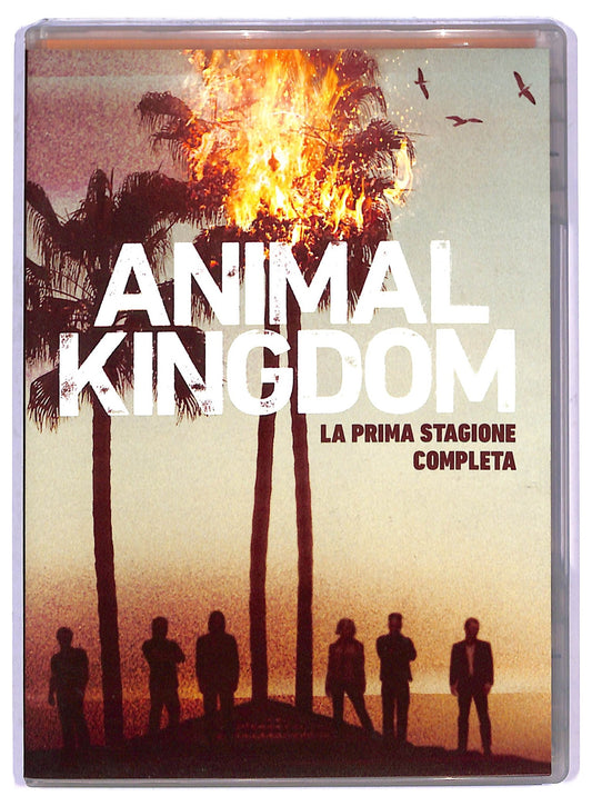 EBOND Animal Kingdom la prima stagione completa DVD D800617