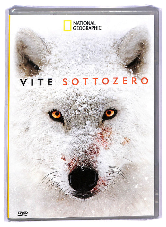EBOND Vite sottozero - national geographic EDITORIALE DVD D801314