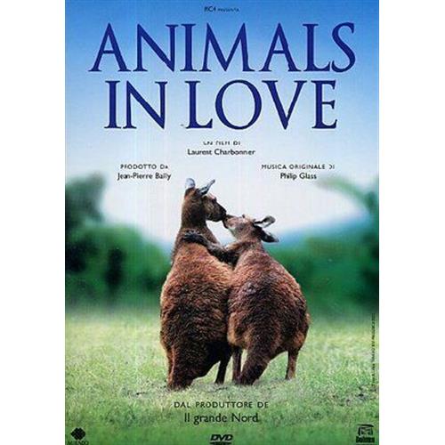 EBOND Animals In Love DVD Ex-Noleggio ND008007
