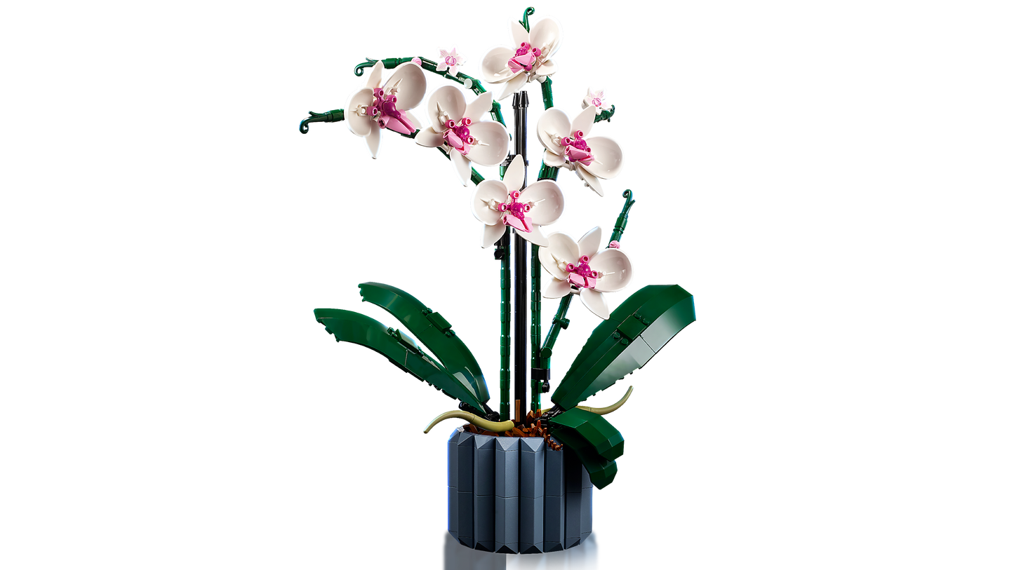 LEGO 10311  ICONS Orchidea