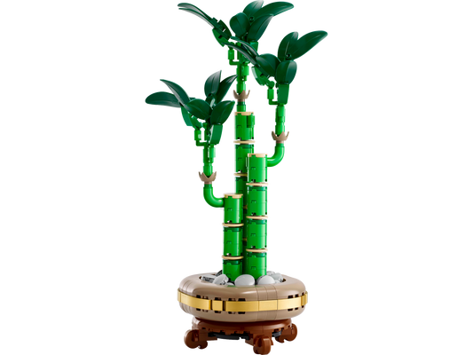 LEGO 10344 Botanicals Bambu del Buon Auspicio