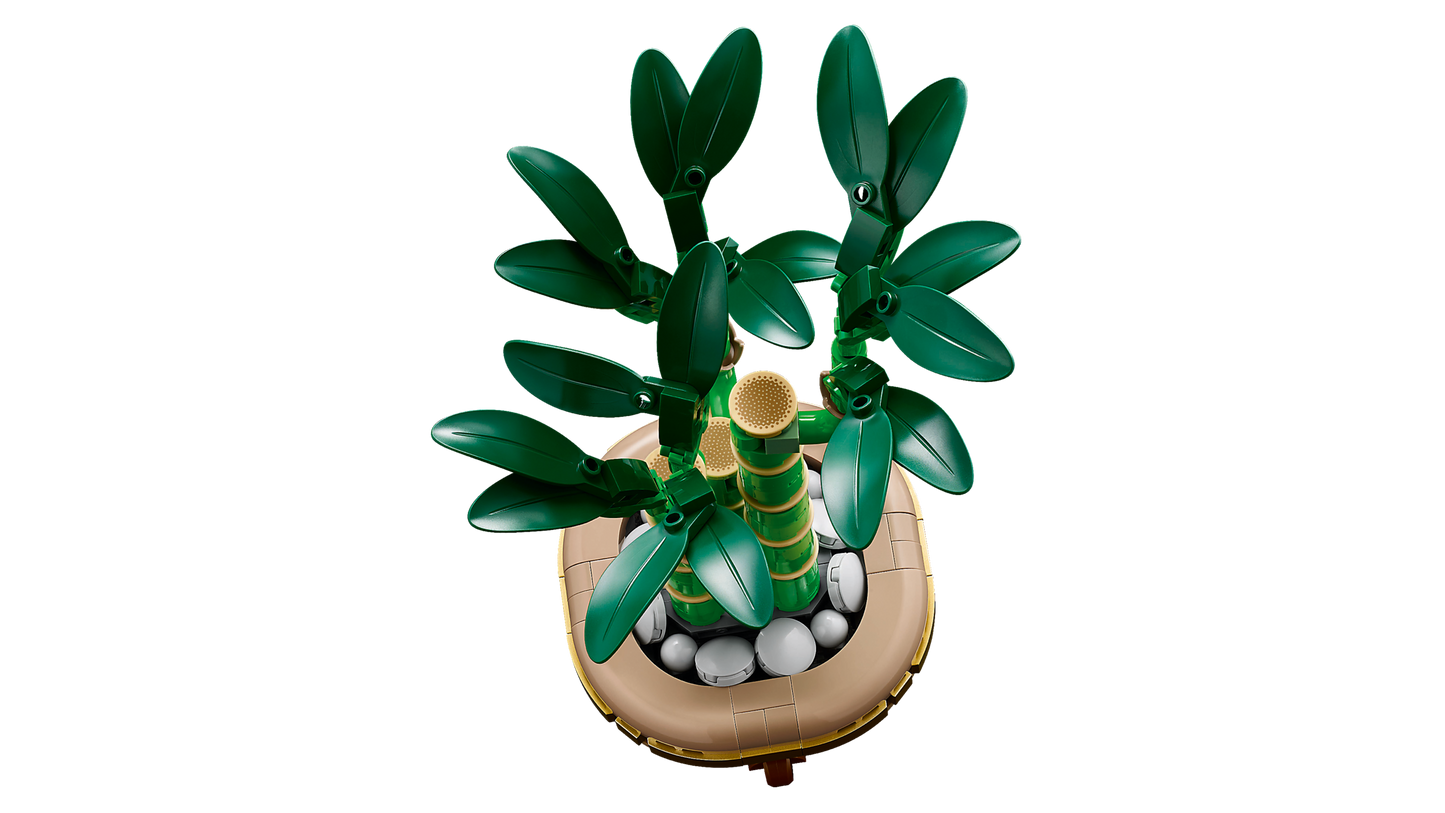 LEGO 10344 Botanicals Bambu del Buon Auspicio