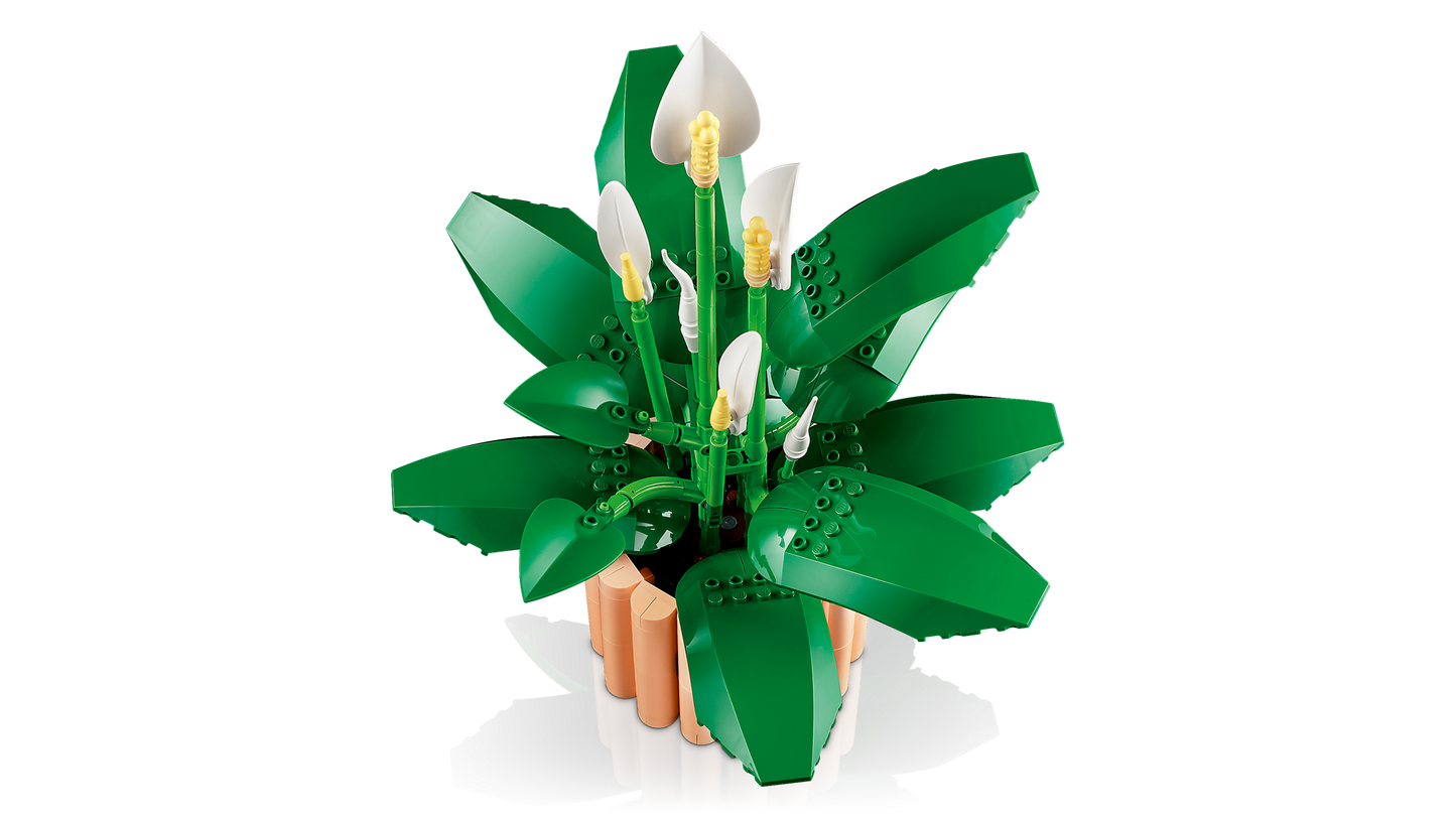 LEGO 11504 Botanicals Spatifillo