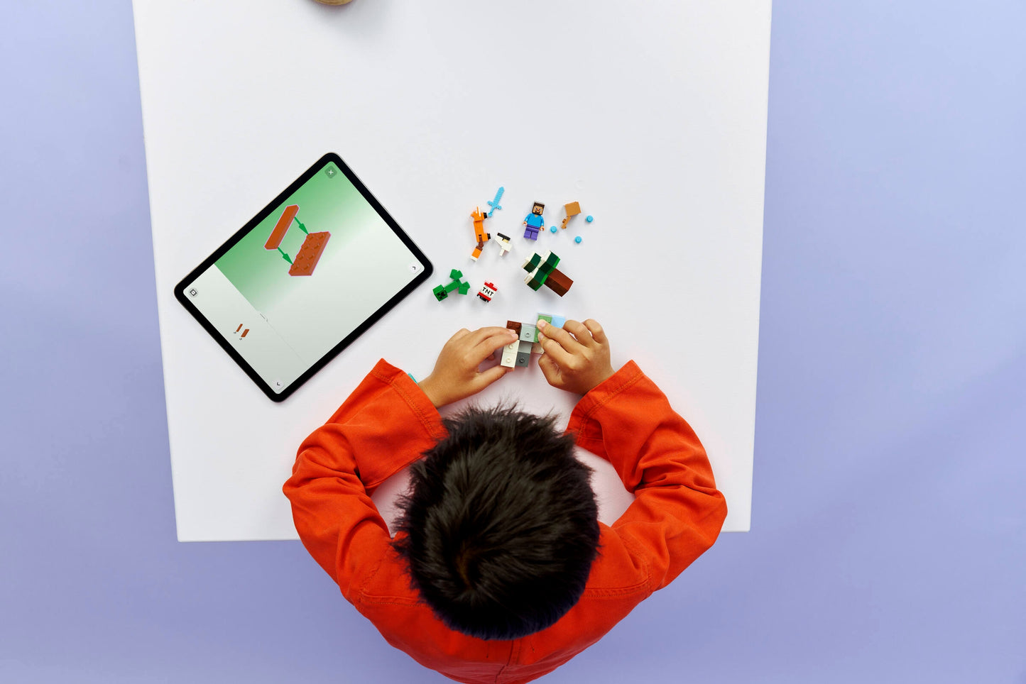 LEGO 21583 Avventura di Steve nella taiga