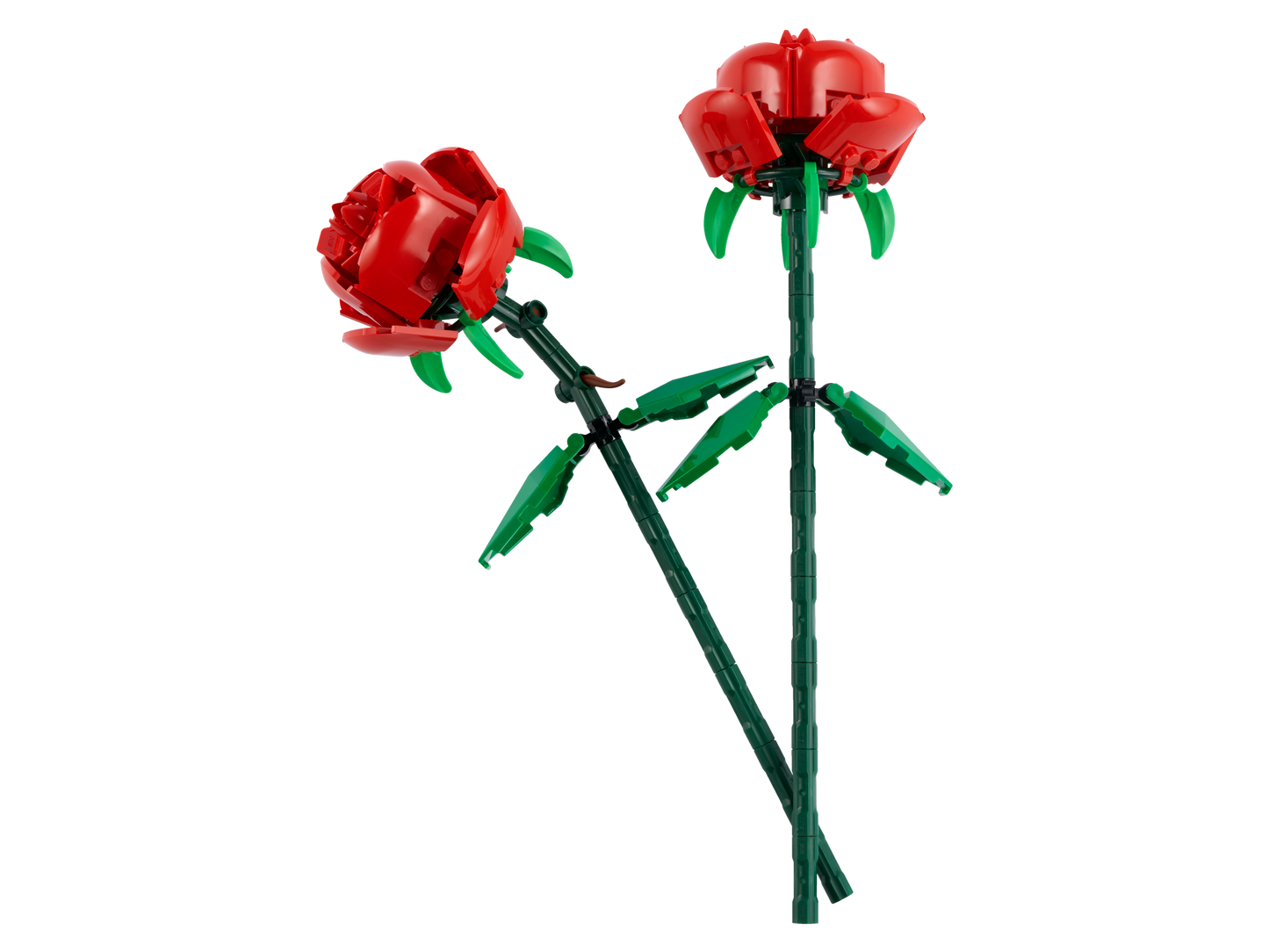 LEGO 40460 Botanicals Rose