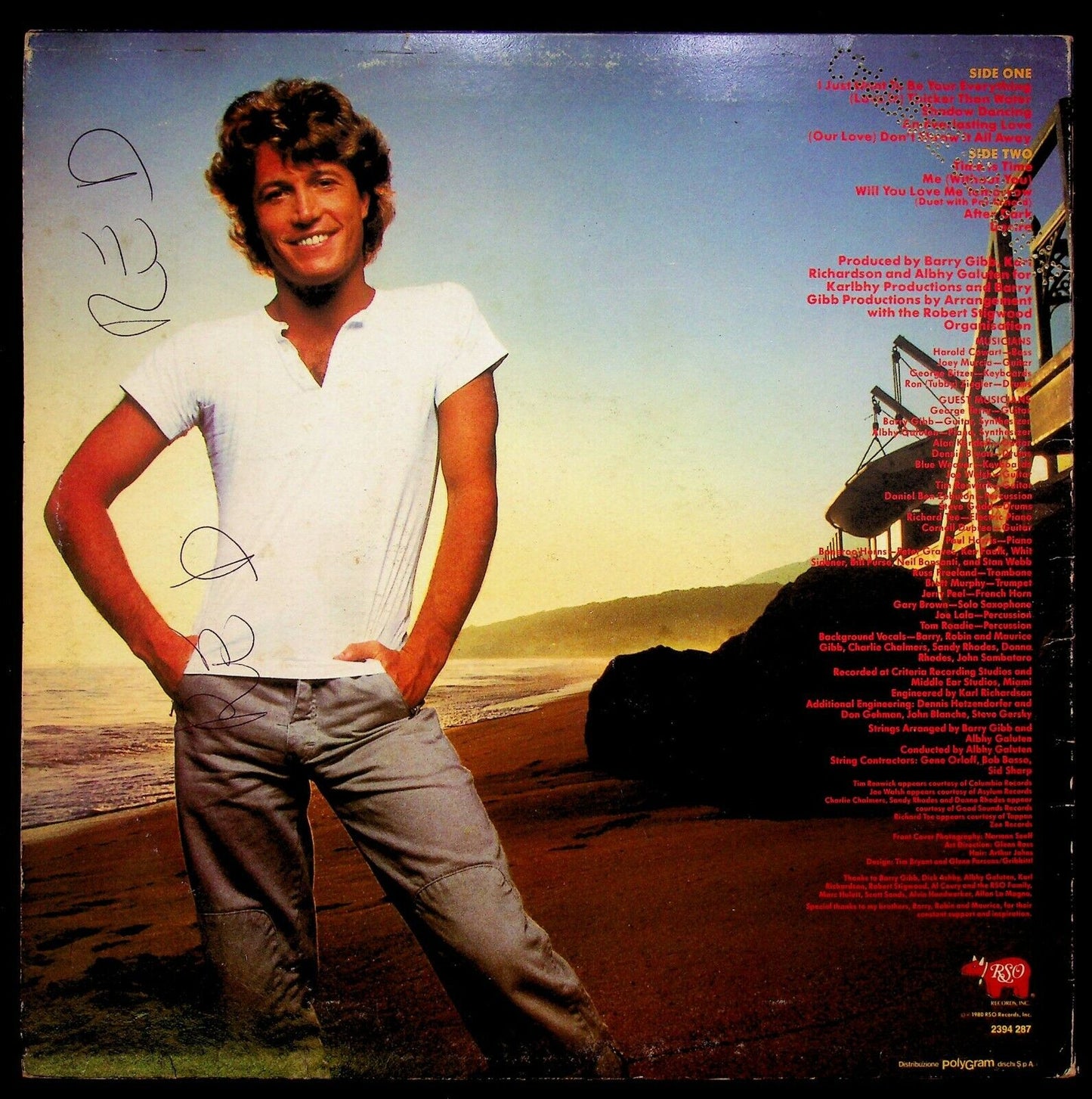 EBOND Andy Gibbs The Greatest Hits Vinile V062115