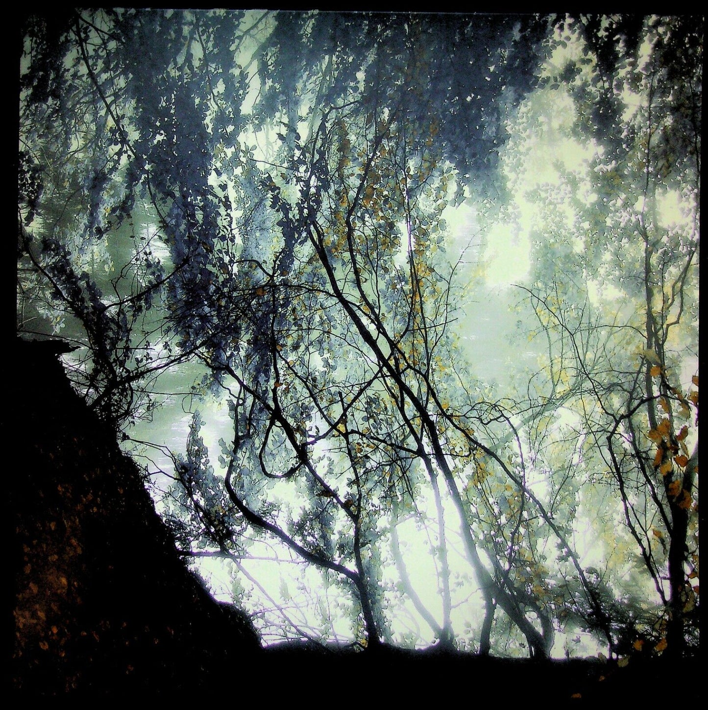 EBOND Chiral - Gazing Light EternityLtd Vinile V058078