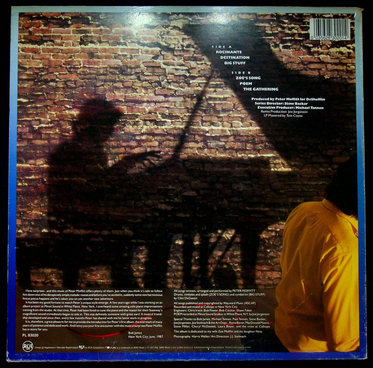 EBOND Peter Moffitt - Zoe's Song Vinile V059093