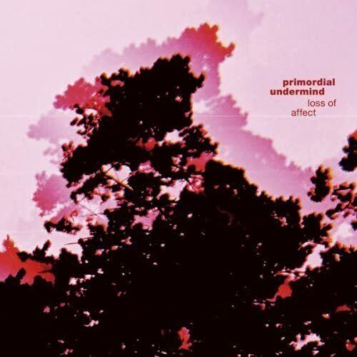 EBOND Primordial Undermind - Loss Of Affect5005 CD CDS001124