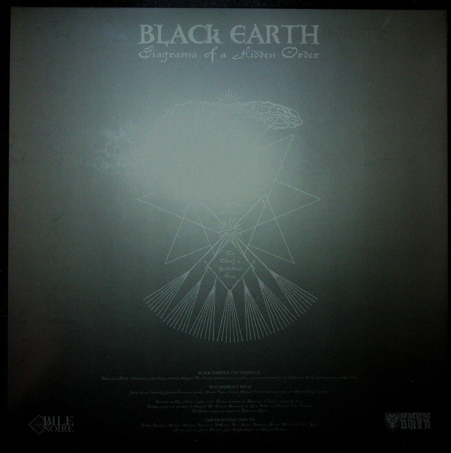 EBOND Black Earth - Diagrams Of A Hidden Order Vinile V058077