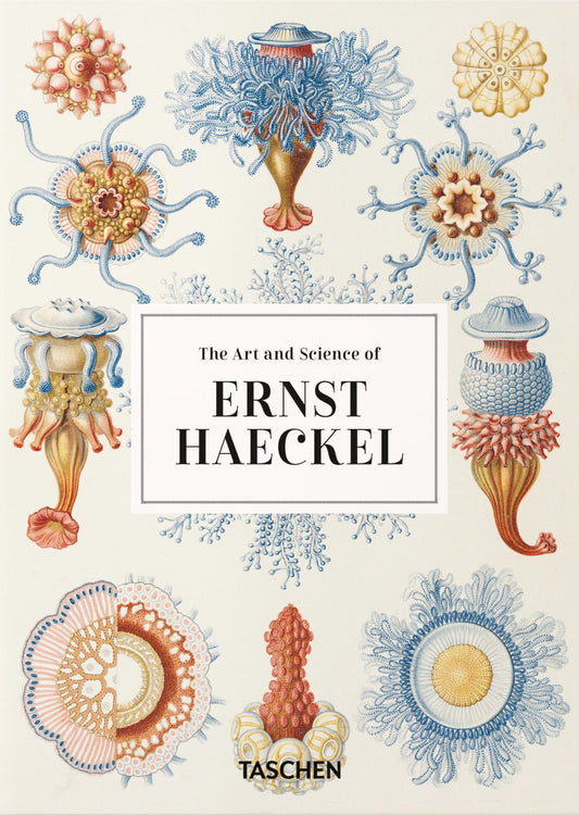 Art And Science Of Ernst Haeckel. 45th Ed. Ediz. Inglese (the) - Willmann Rainer; Voss Julia
