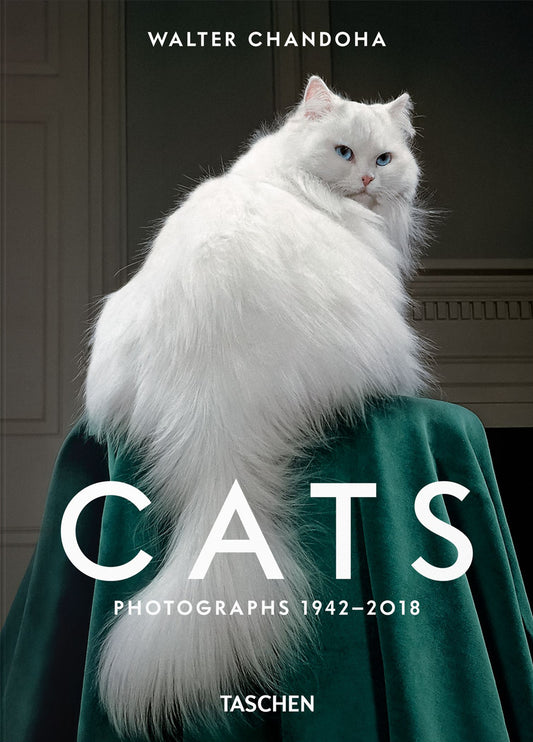 Walter Chandoha. Cats. Photographs 1942-2018. Ediz. A Colori - Michals Susan; Chandoha Walter; Golden R. (cur.)