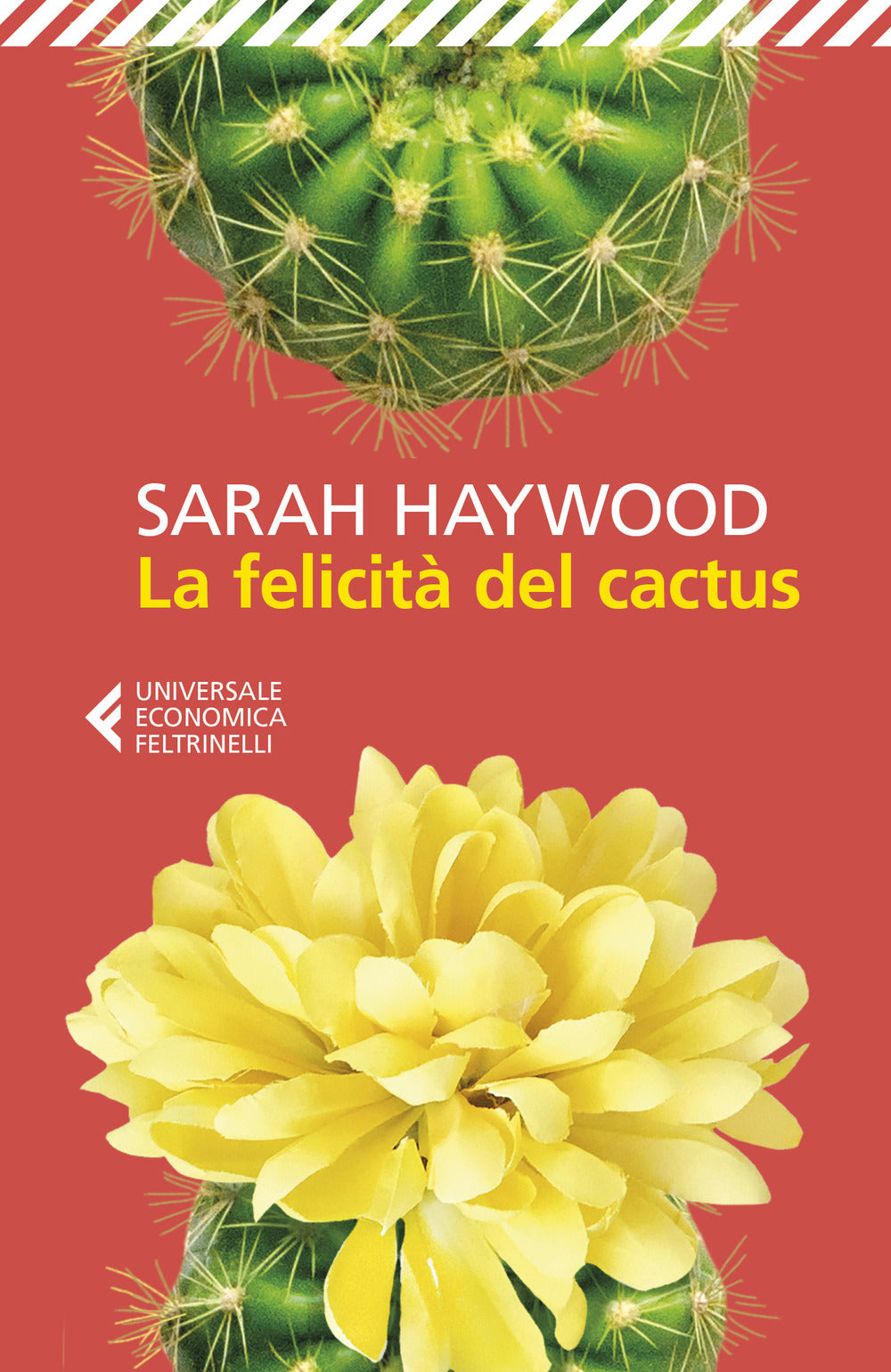 Felicita' Del Cactus (la) - Haywood Sarah