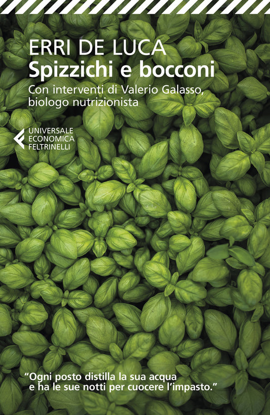 Spizzichi E Bocconi - De Luca Erri