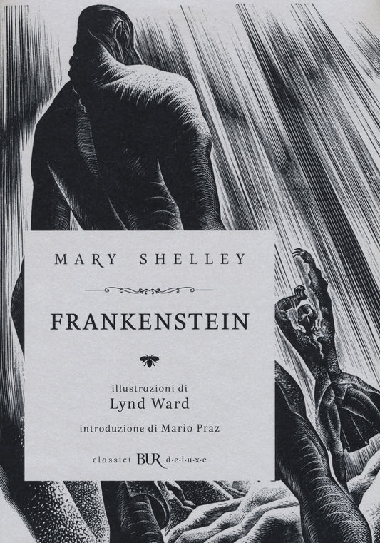 Frankenstein. Ediz. Illustrata - Shelley Mary