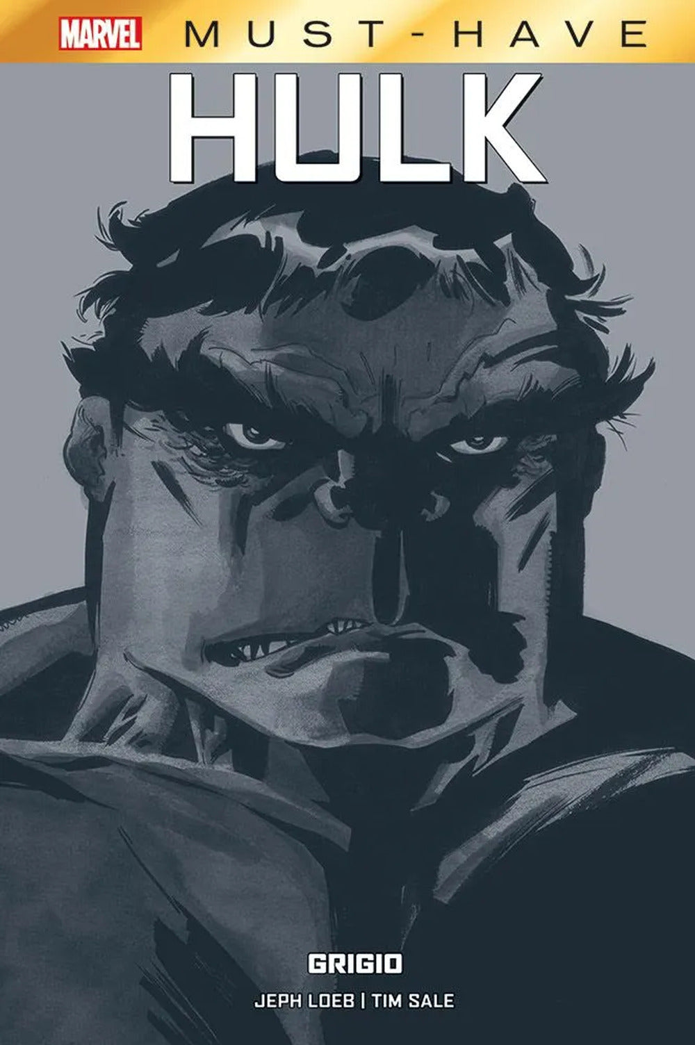 Grigio. Hulk - Loeb Jeph; Sale Tim