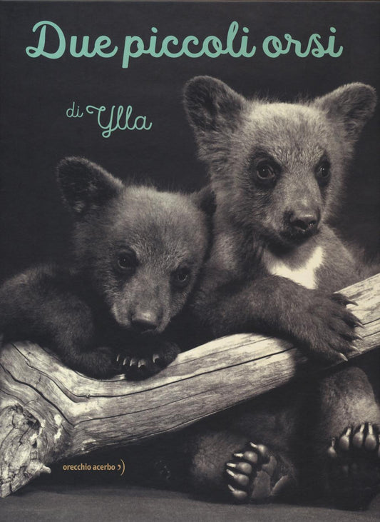 Due Piccoli Orsi - Ylla