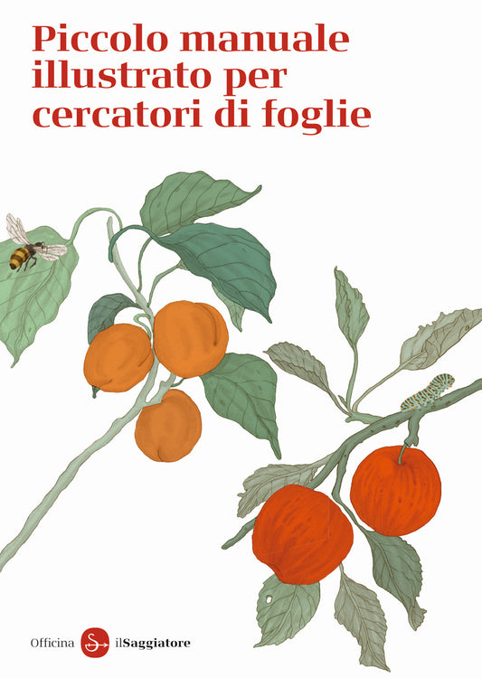 Piccolo Manuale Illustrato Per Cercatori Di Foglie. Ediz. A Colori - Officina Saggiatore