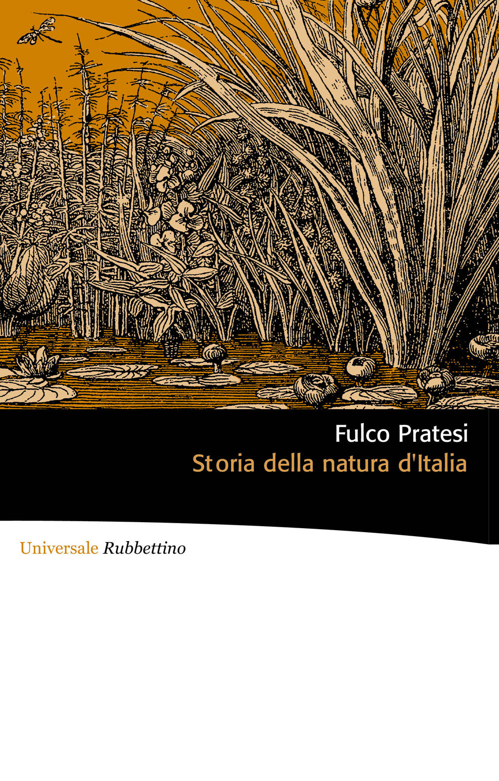 Storia Della Natura D'italia - Pratesi Fulco