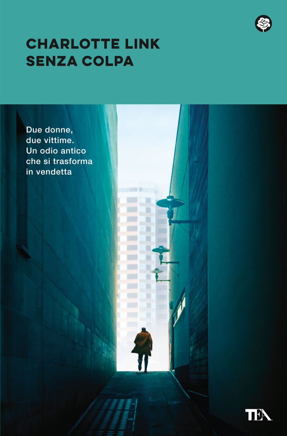 Senza Colpa. Le Indagini Di Kate Linville - Link Charlotte