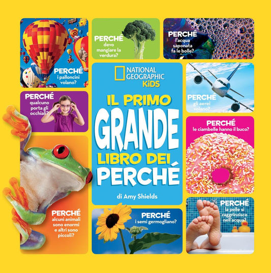 Primo Grande Libro Dei Perche' (il) - Shields Amy