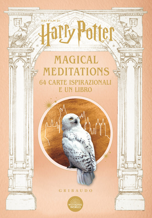 Harry Potter. Magical Meditations. Con 64 Carte -