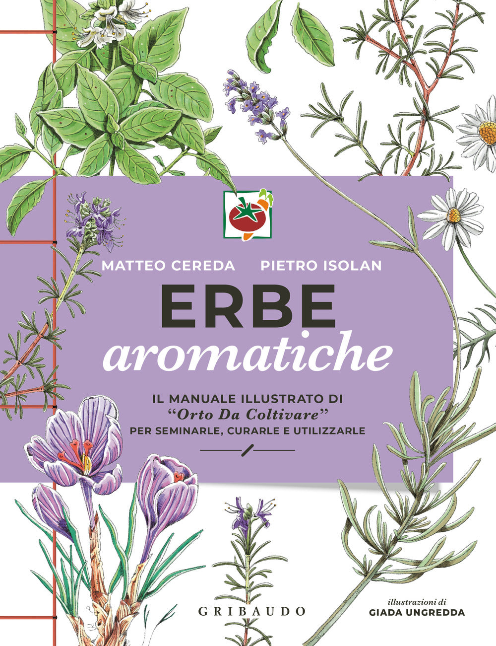 Erbe Aromatiche. Il Manuale Illustrato Di ''orto Da Coltivare'' Per Seminarle, Cur - Cereda Matteo; Isolan Pietro