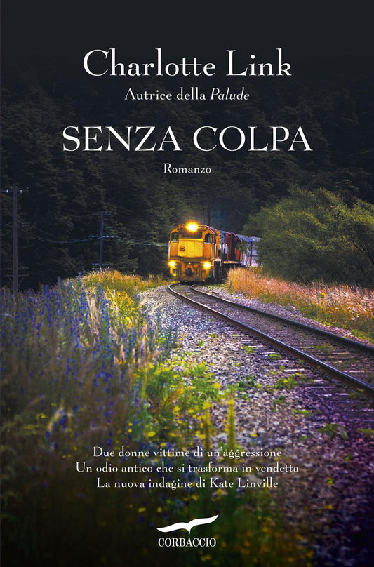 Senza Colpa. Le Indagini Di Kate Linville - Link Charlotte