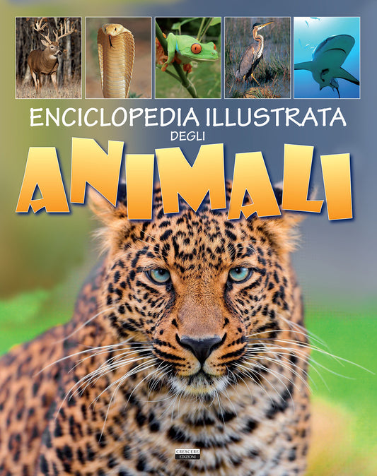 Enciclopedia Illustrata Degli Animali -