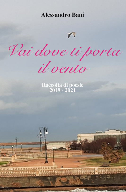 Vai Dove Ti Porta Il Vento - Bani, Alessandro