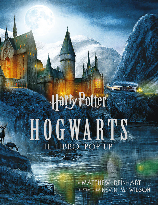Harry Potter. Hogwarts. Il Libro Pop-up - Reinhart Matthew