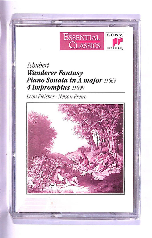 EBOND Schubert Wanderer Fantasy Cassetta CA000684