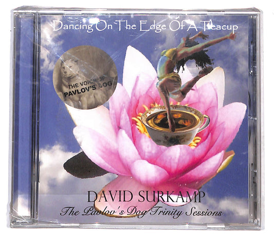 EBOND David Surkamp - Dancing On The Edge Of A Teacup CD CB033048