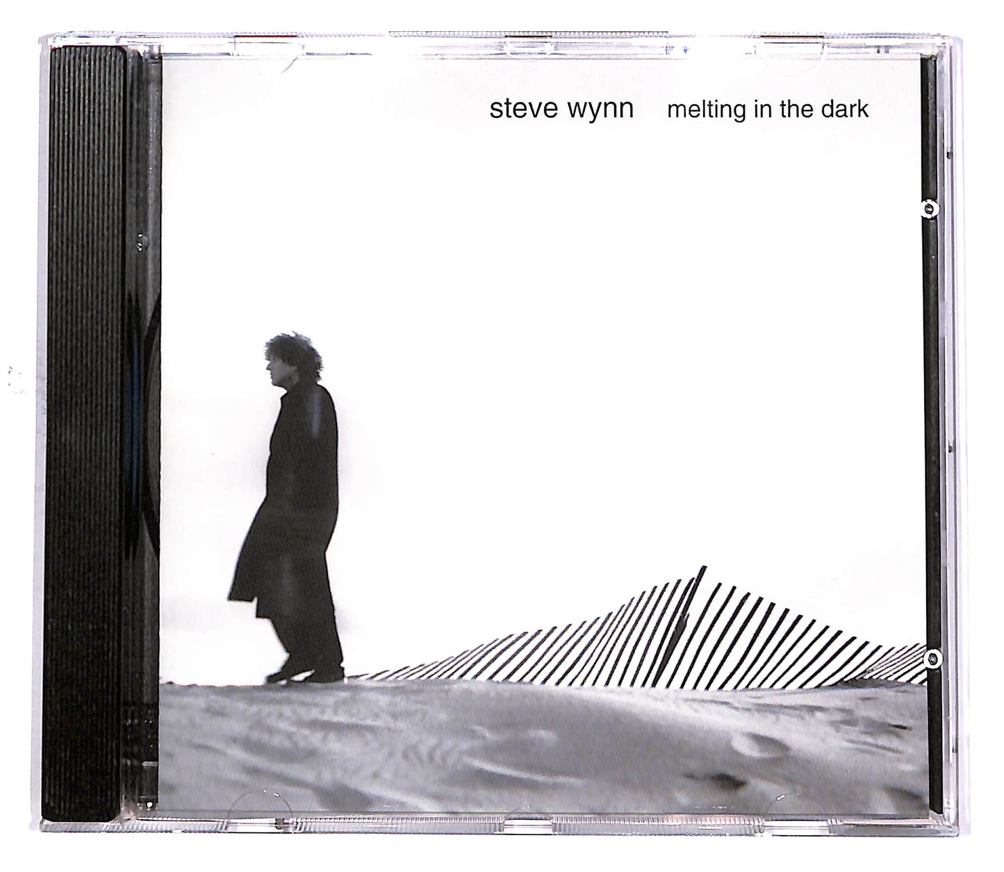 EBOND Steve Wynn - Melting In The Dark CD CD049243
