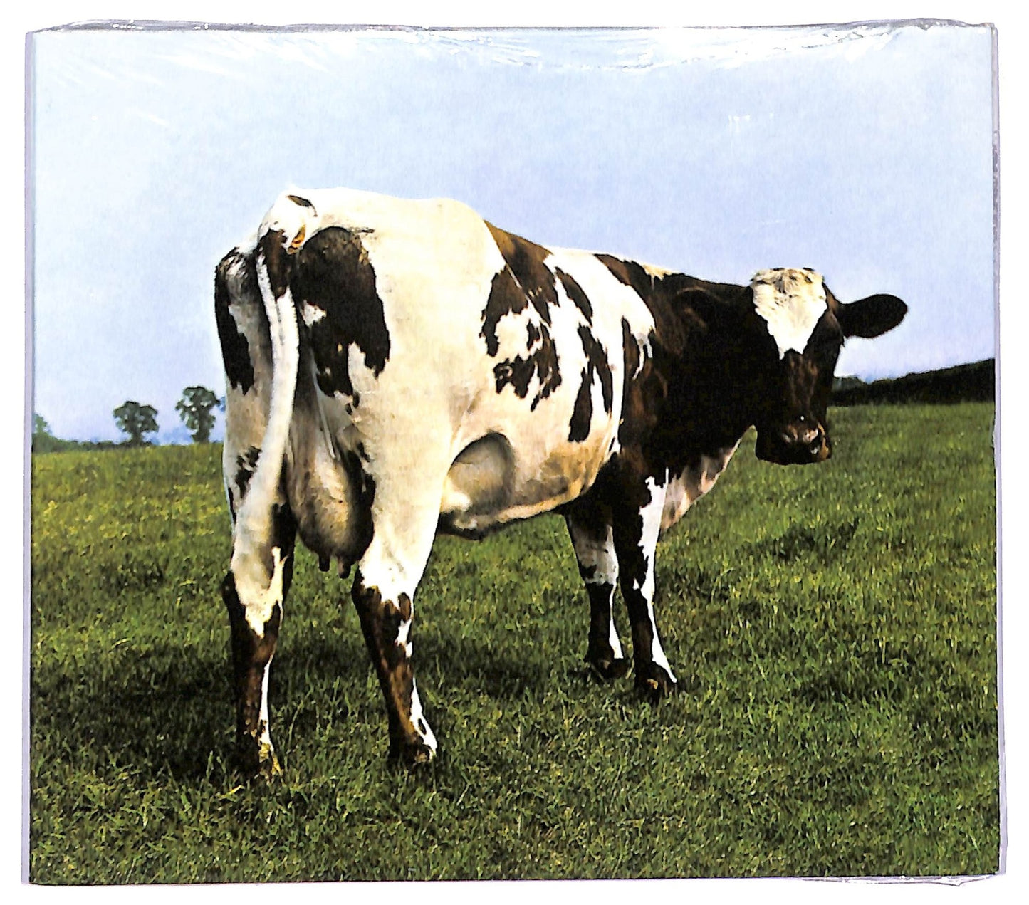EBOND Pink Floyd - Atom Heart Mother - Digipak CD CD088850