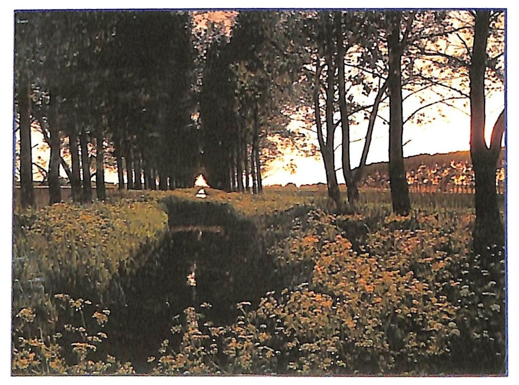 EBOND Chopin Idil Biret - Rondos And Variations CD CD090748