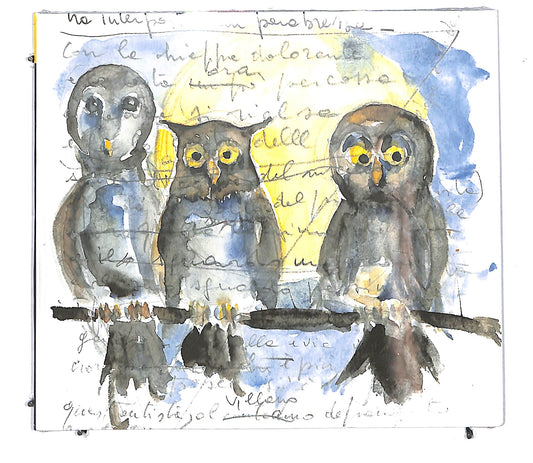 EBOND Ducoli Gaffurini - Gufi Allocchi Barbagianne DIGIPACK CD CD114702